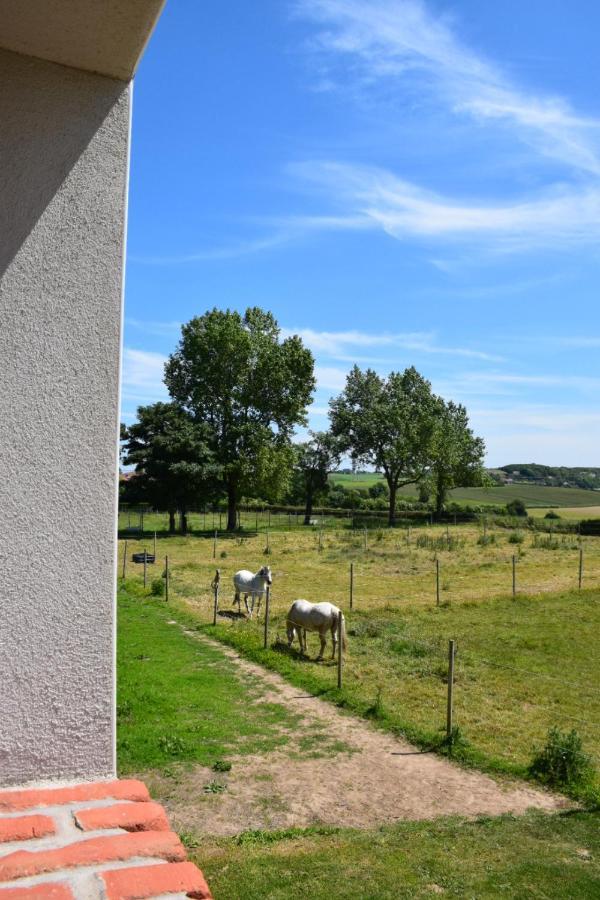 Le Clos De L'Angley Gites Et Ecurie Caffiers Eksteriør bilde