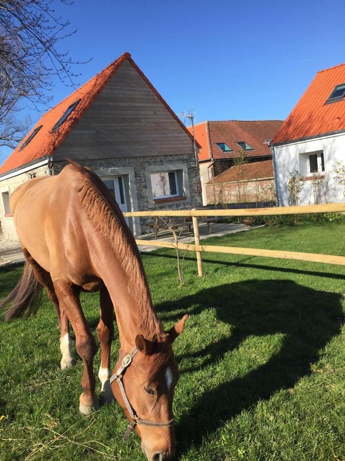 Le Clos De L'Angley Gites Et Ecurie Caffiers Eksteriør bilde