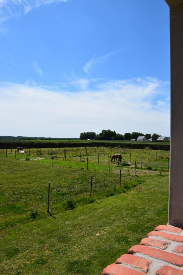 Le Clos De L'Angley Gites Et Ecurie Caffiers Eksteriør bilde